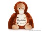 Preview: Stofftier Orang-Utan bestickt mit Namen